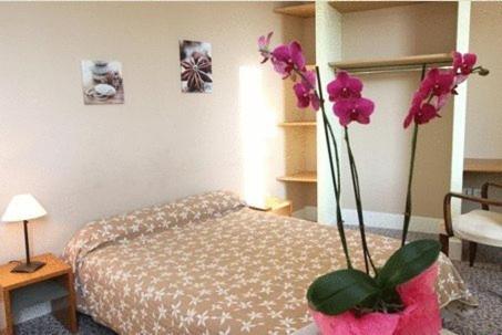Logis Hotel Le Clos Des Oliviers Бур-Сент-Андеоль Экстерьер фото